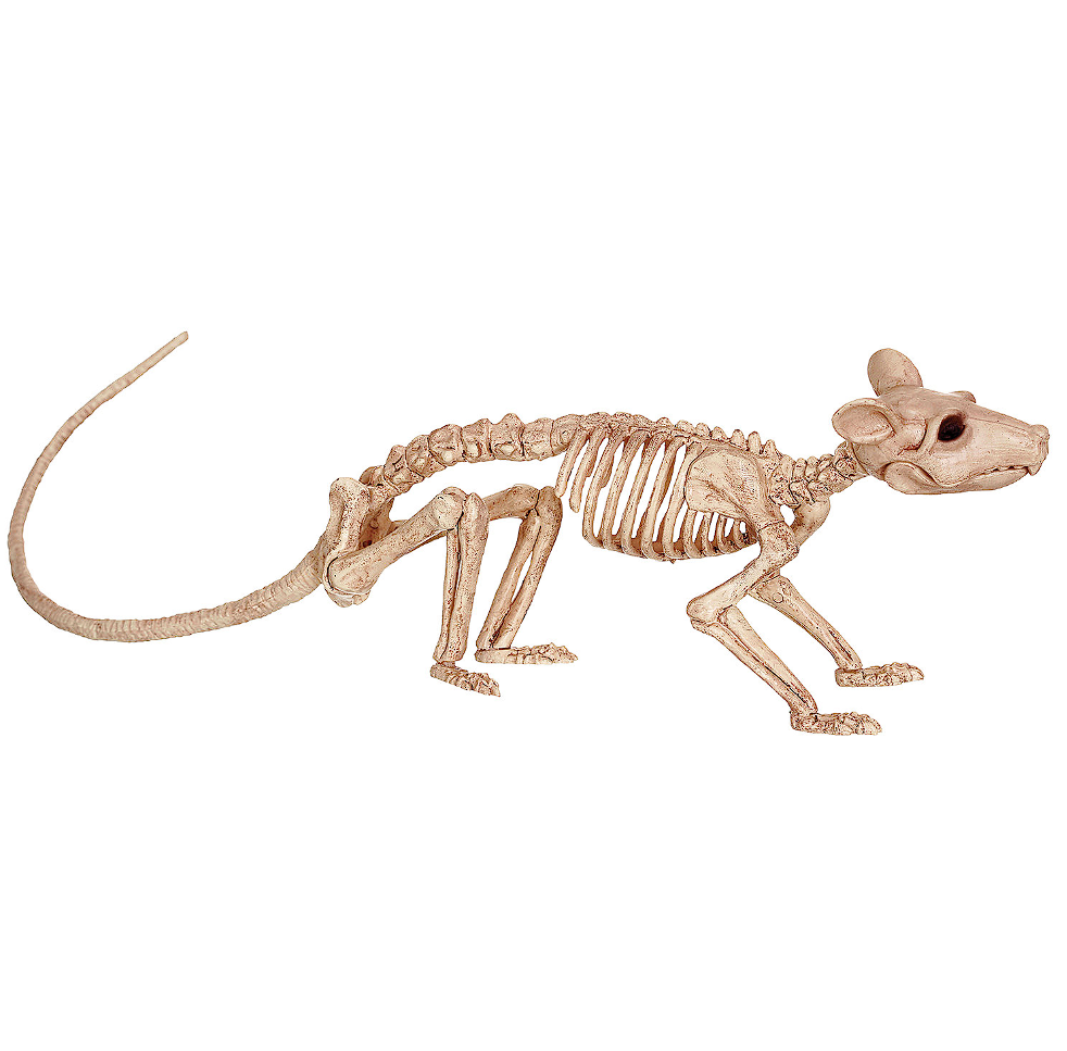 Skeleton Rat Decoration