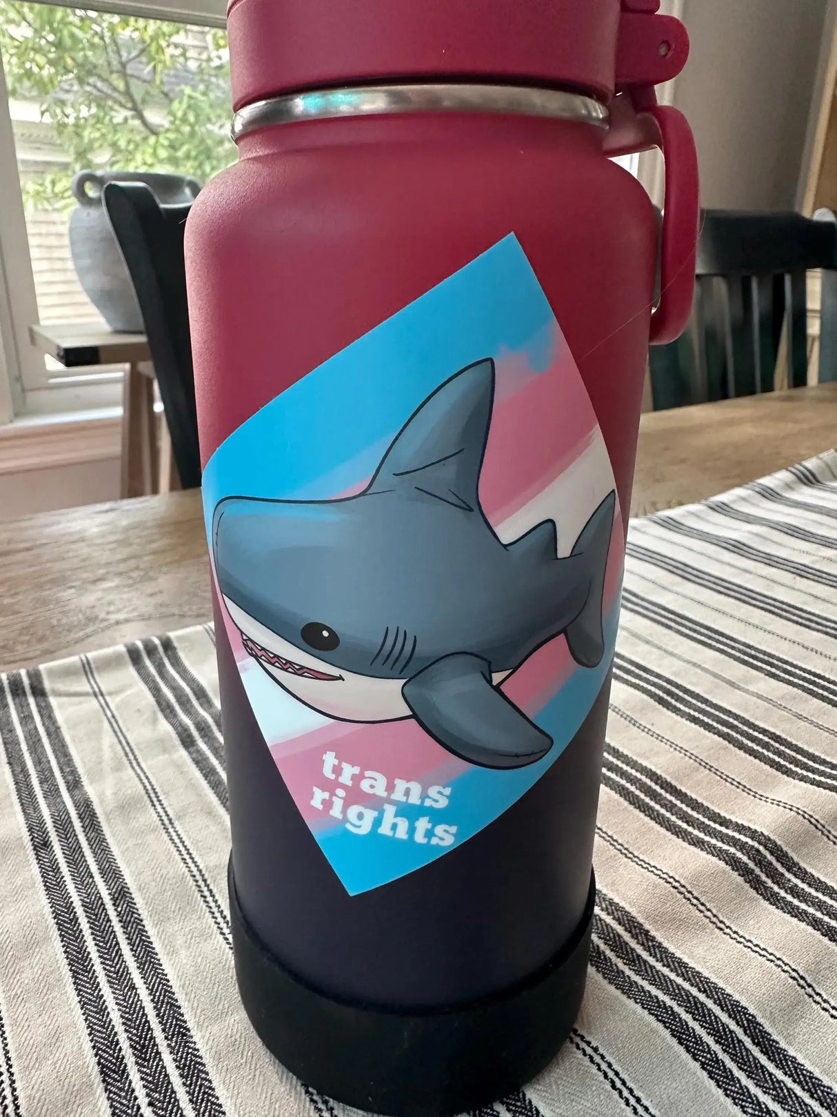 Trans Rights - Die Cut Sticker