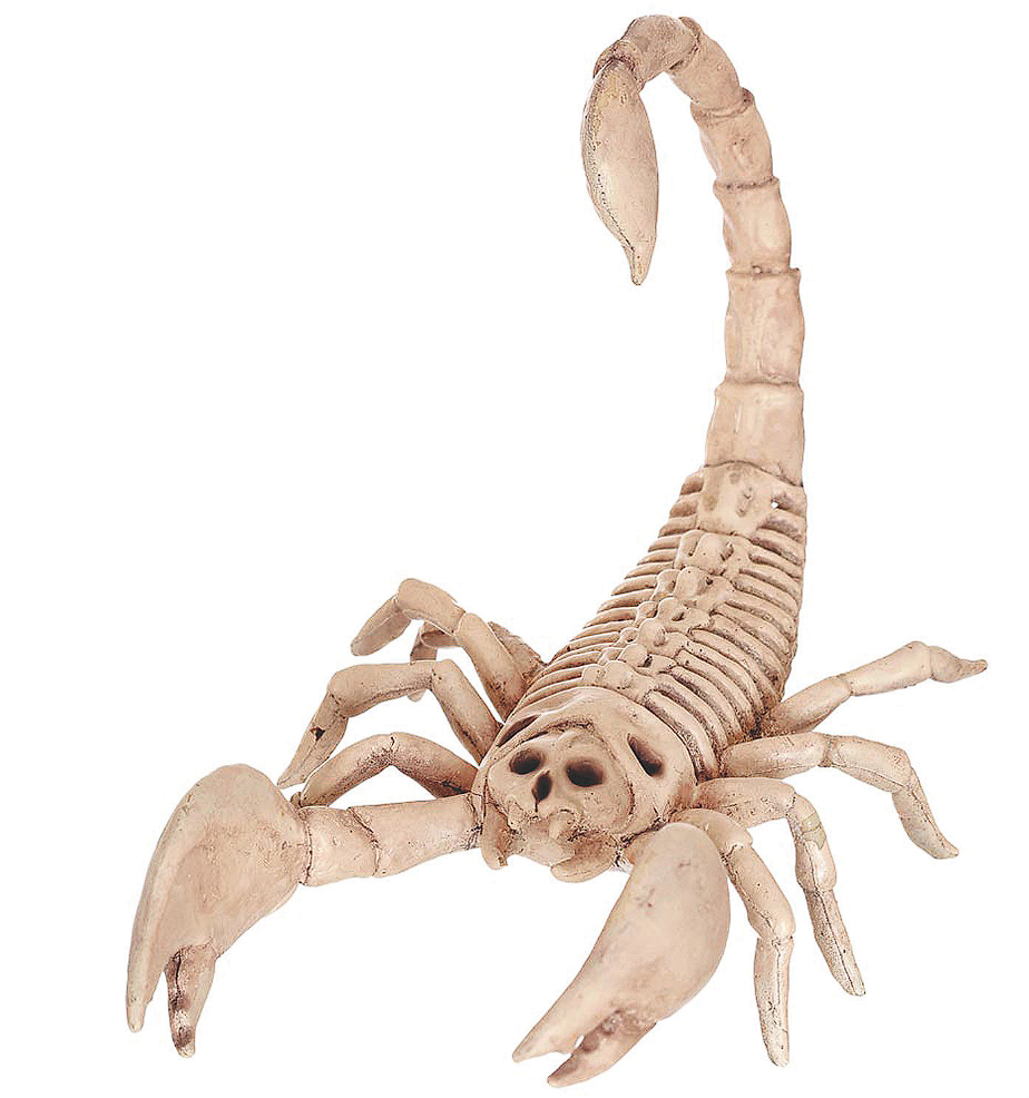Scorpion Skeleton Halloween Decoration