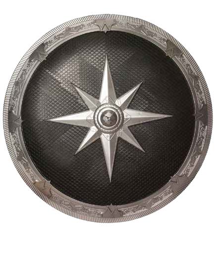 Silver and Black Shield