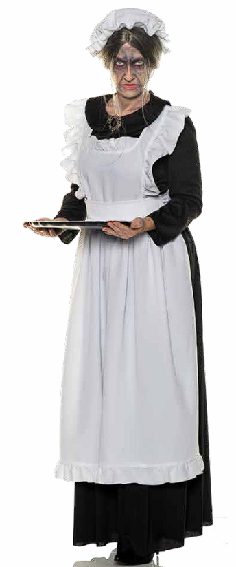 Old Maid Costume