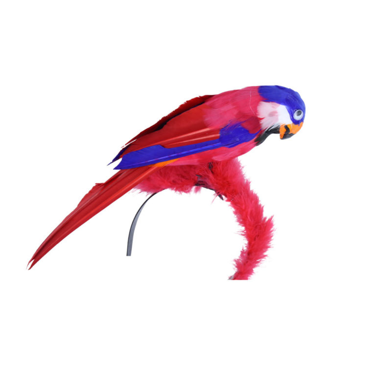 Parrot Headband