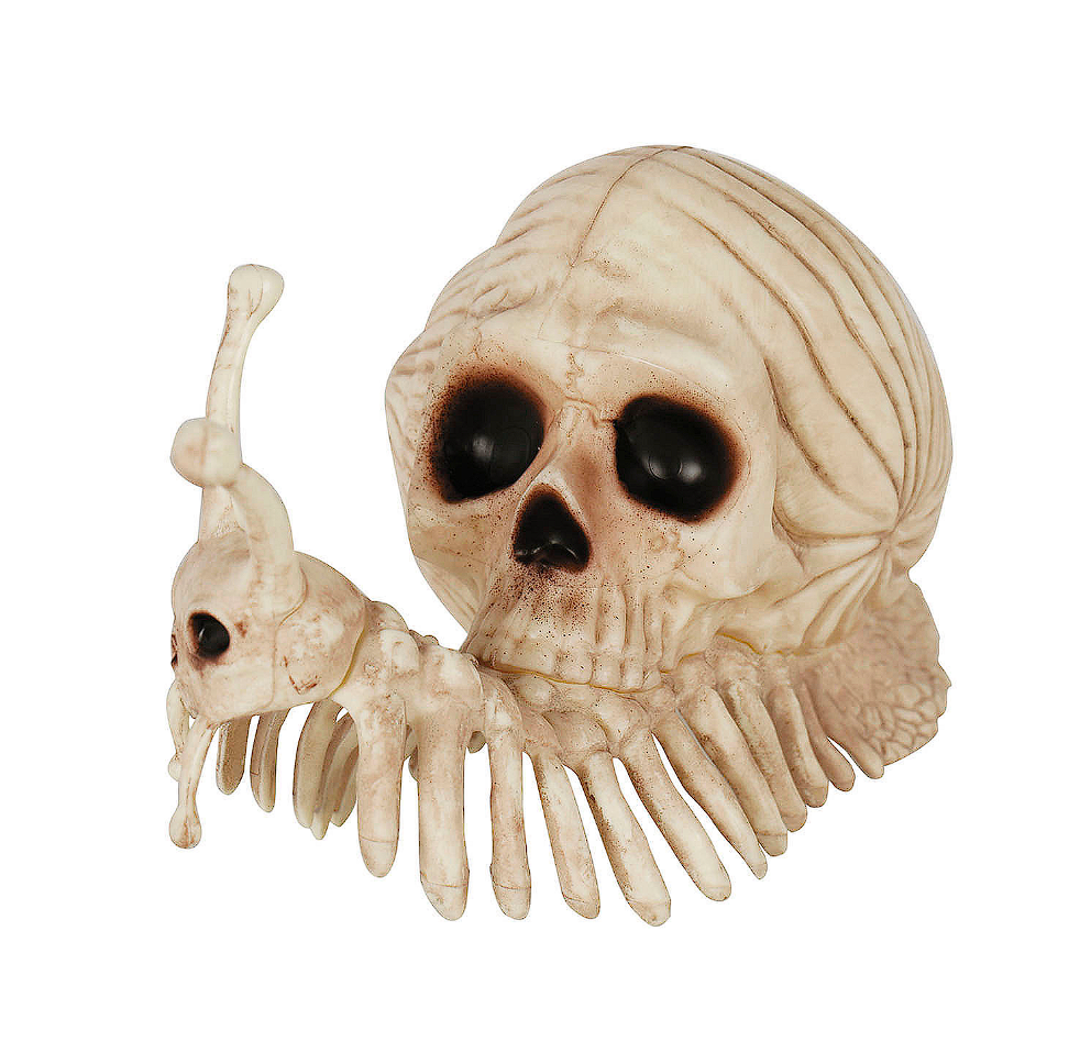 Snail Skeleton Prop