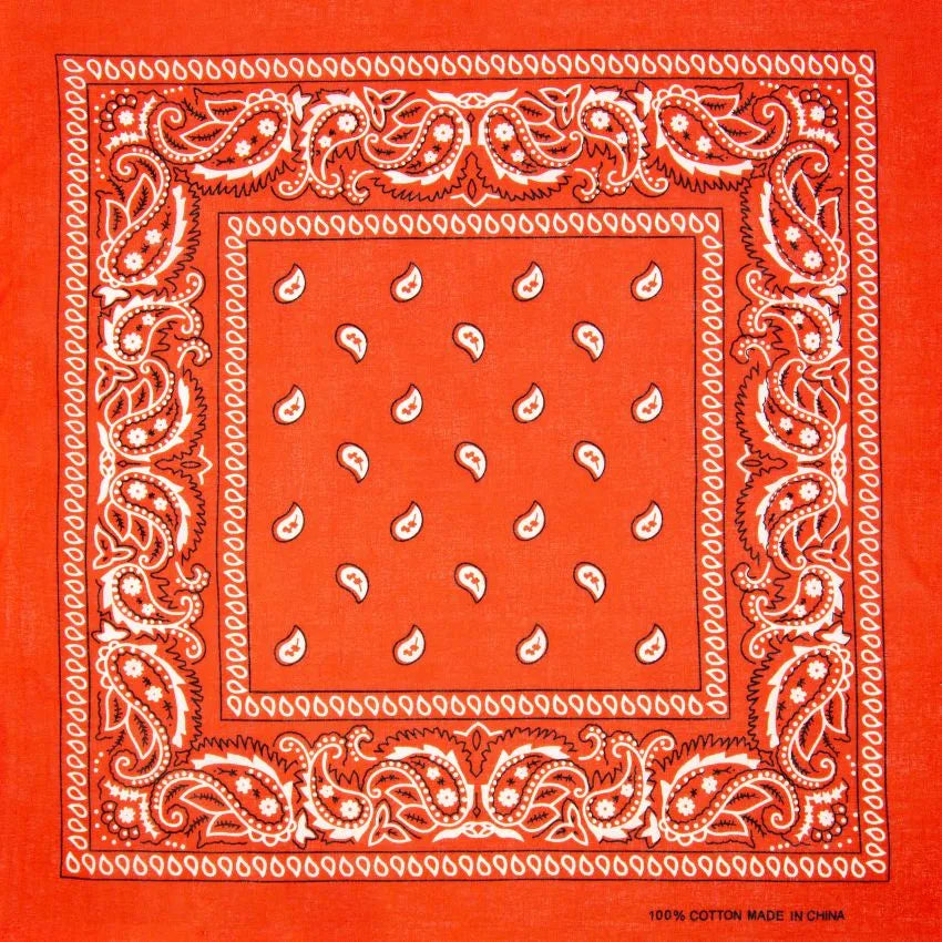 Paisley Cotton Bandana