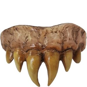Bitemares Vampire Master Teeth