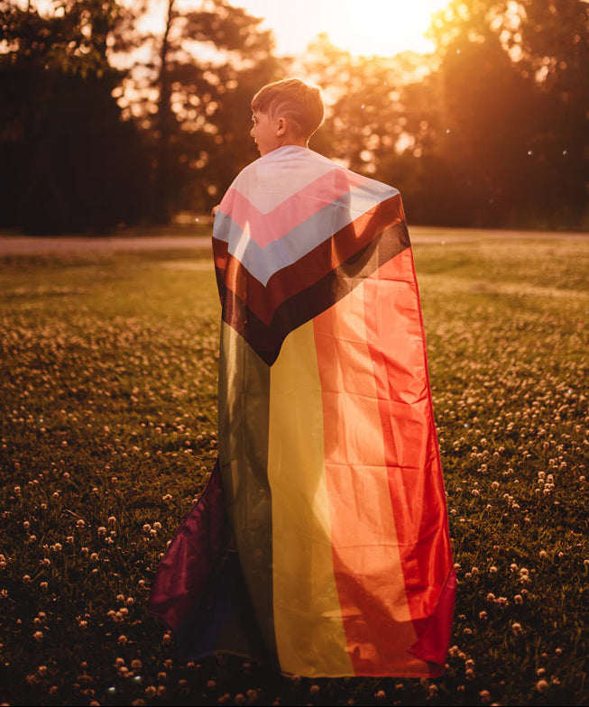 Licensed Progress Pride Flag