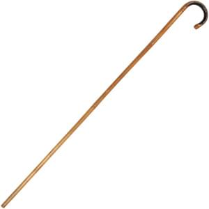Bamboo Cane