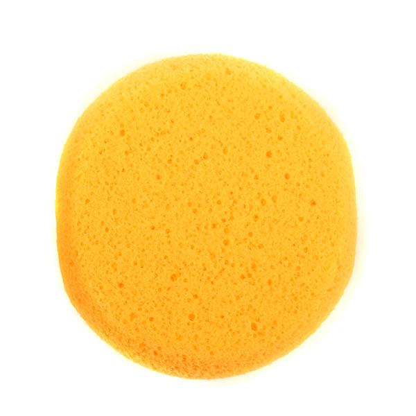 Hydra Sponge (Yellow)