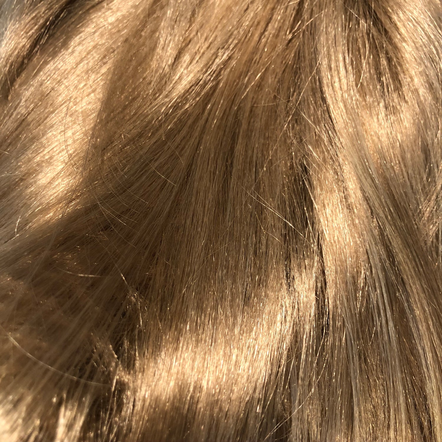 Cindy Wig