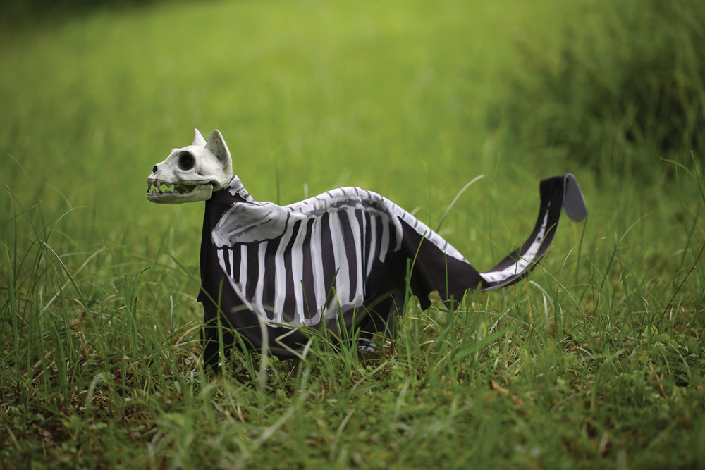 Cat Lawn Stake
