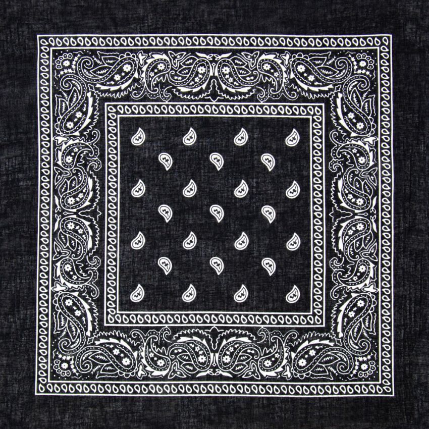 Paisley Print Polyester Bandana