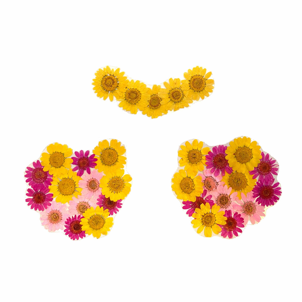Indio Empress Yellow Real Dried Pressed Flower Nipple Pasties