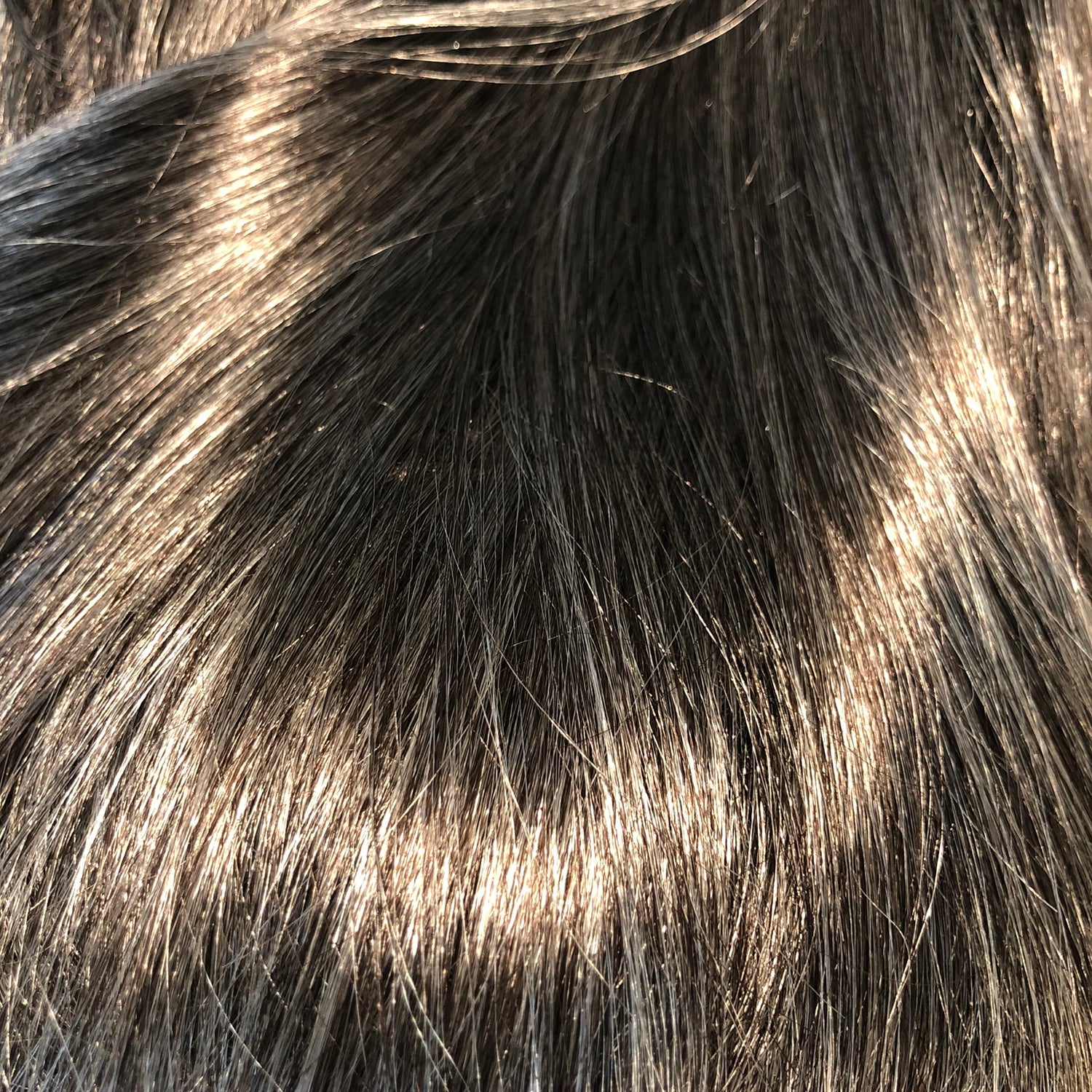 Cindy Wig