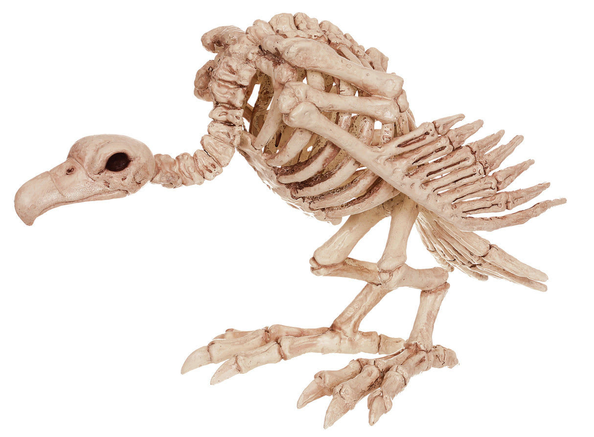 Skeleton Vulture Prop