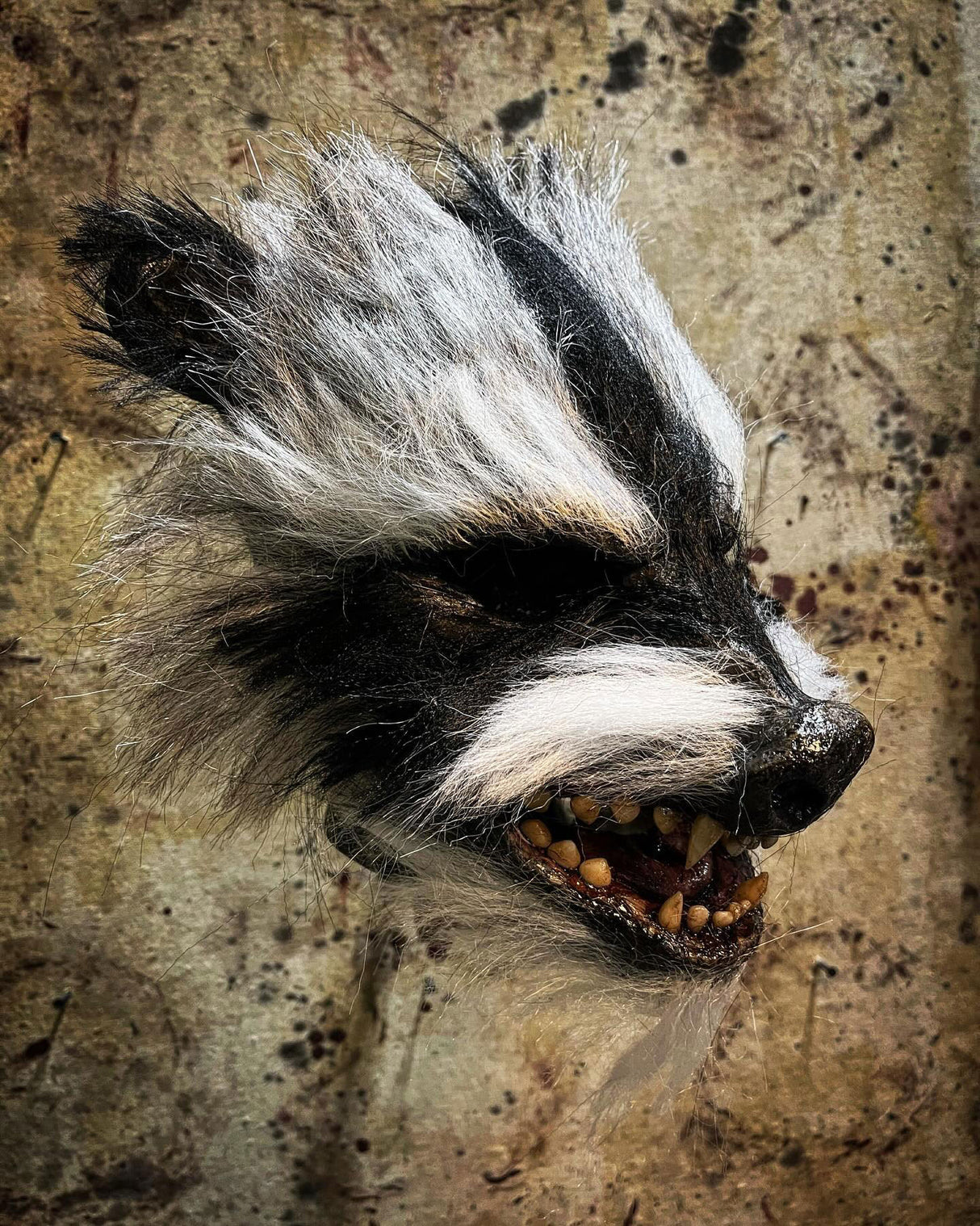 Rabies Raccoon Mask