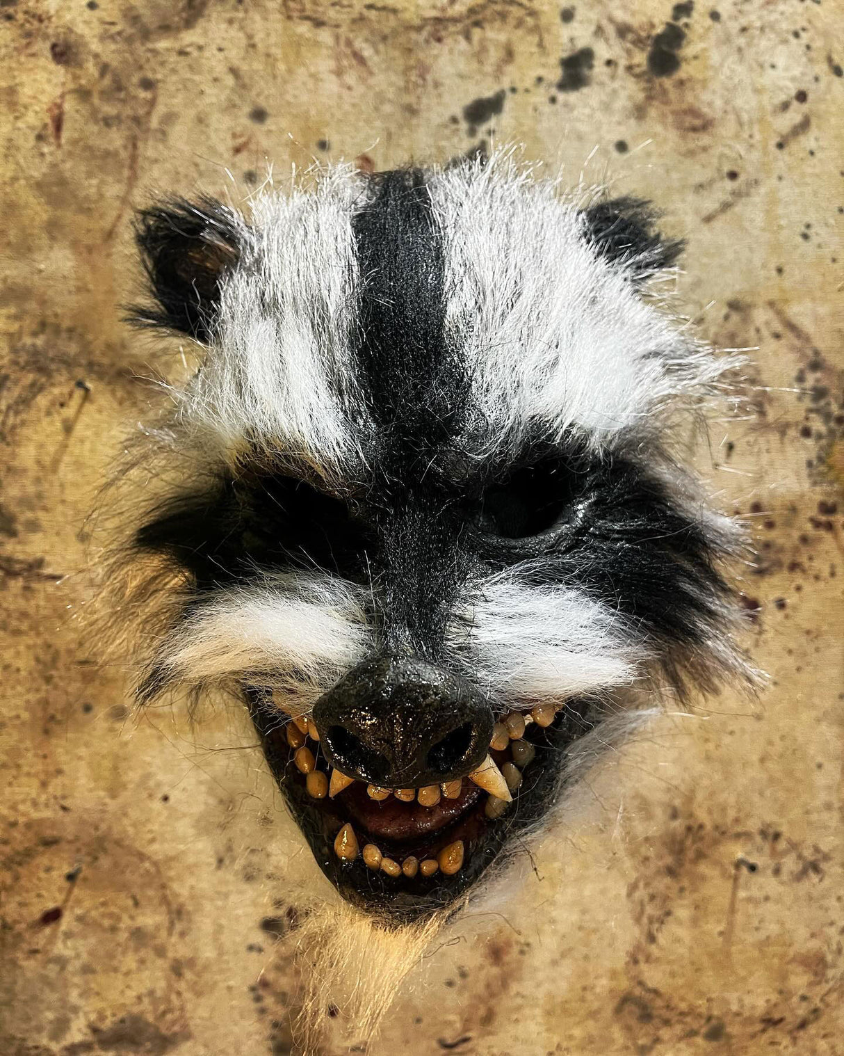 Rabies Raccoon Mask
