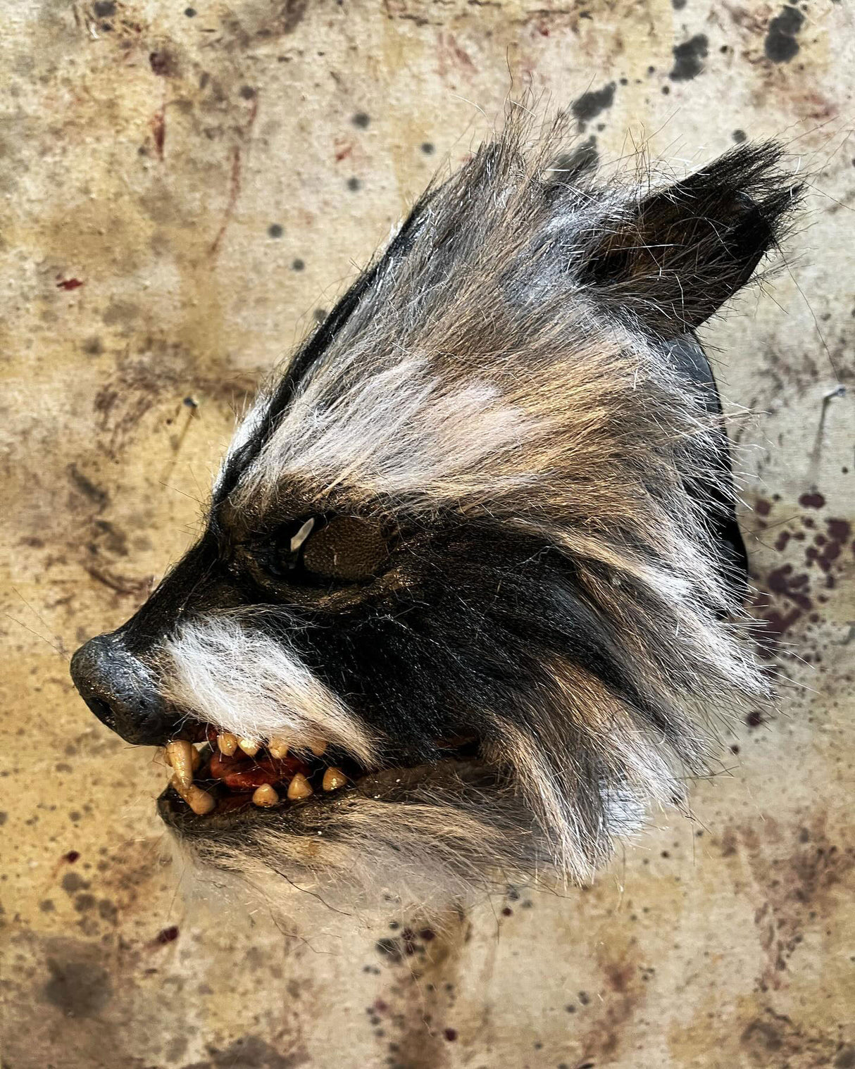 Rabies Raccoon Mask