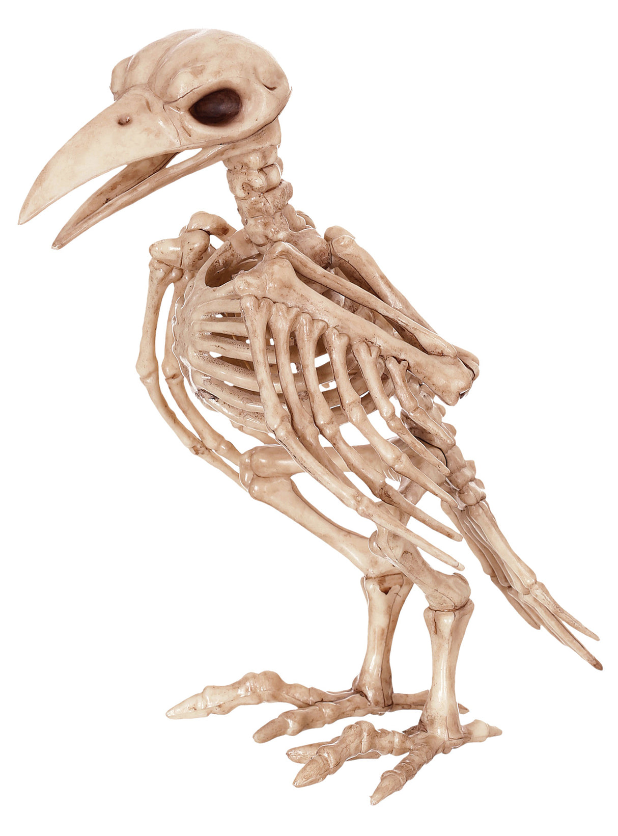 Skeleton Raven Prop