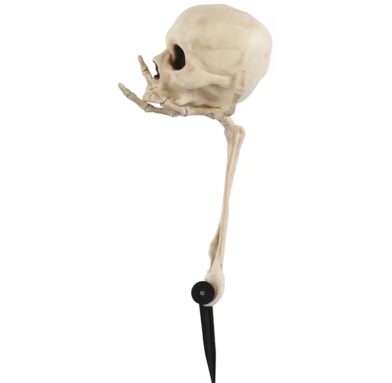 6"x14.5" Groundbreaker Skull in Hand Outdoor Decoration