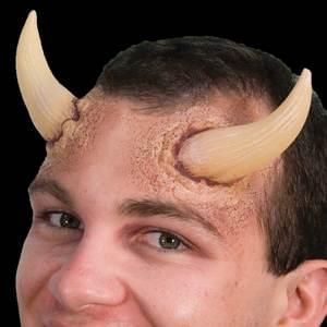 Universal Horn Large