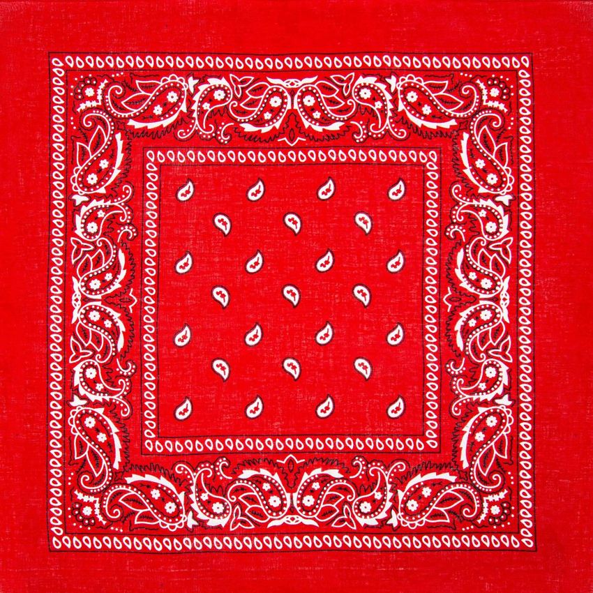 Paisley Cotton Bandana