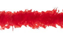 6' Feather Boa