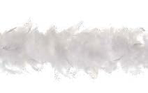6' Feather Boa
