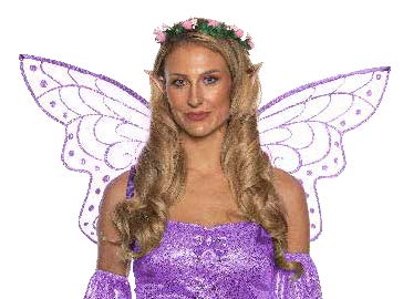 Fairy Accessory Kit