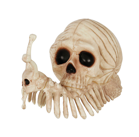 Snail Skeleton Prop