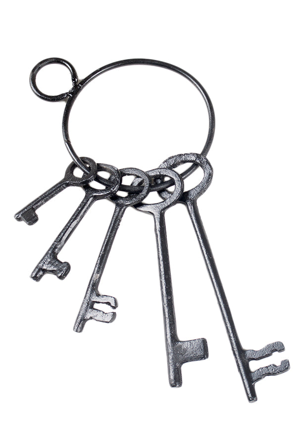 Iron Key Ring