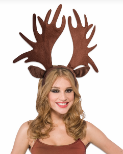 Jumbo Moose Antlers