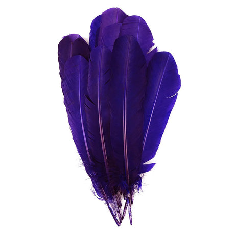 4 Pack Turkey Quills