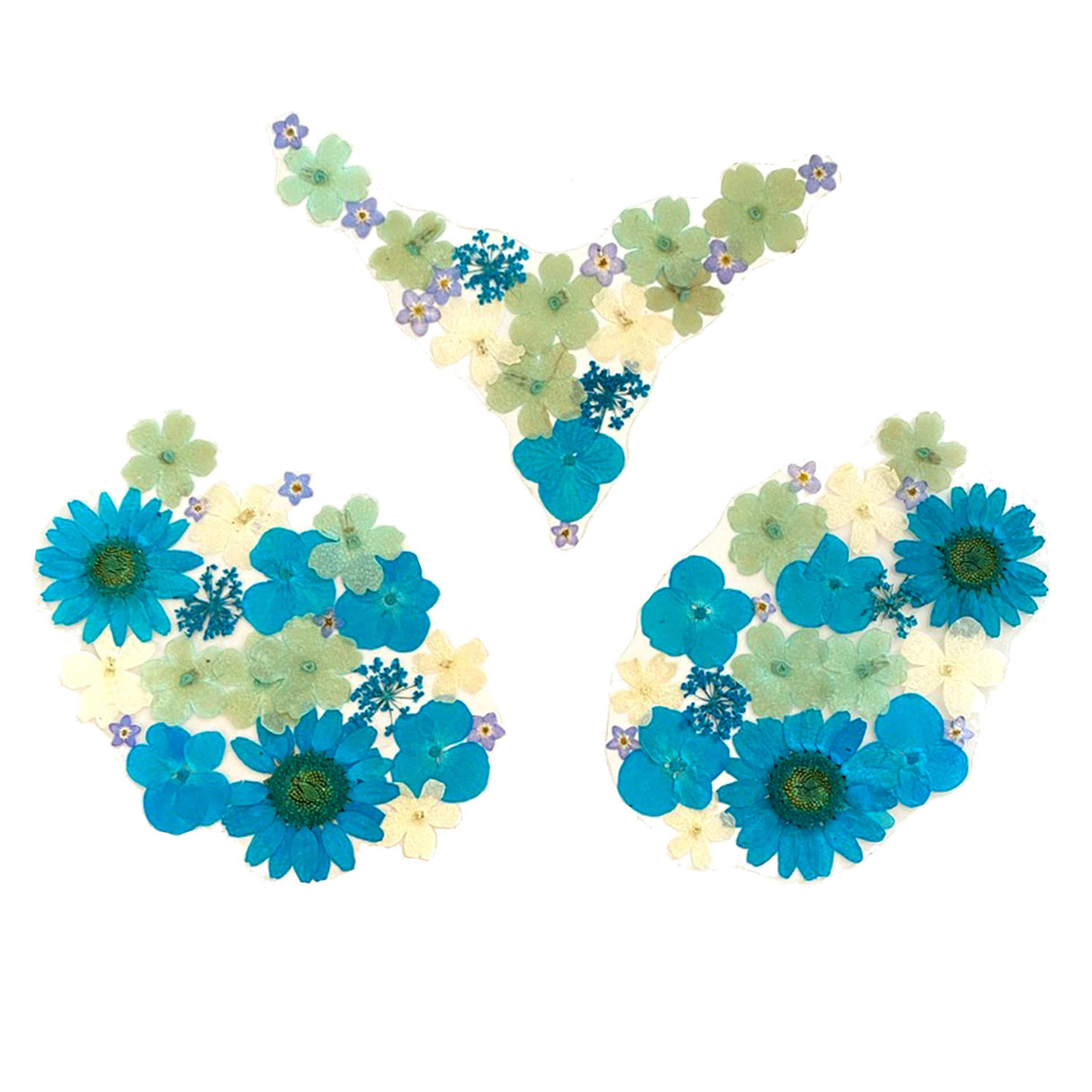 Spring Fling Blue Real Dried Pressed Flower Nipple Pasties