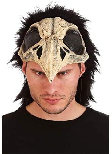 Crow Bird Helmet