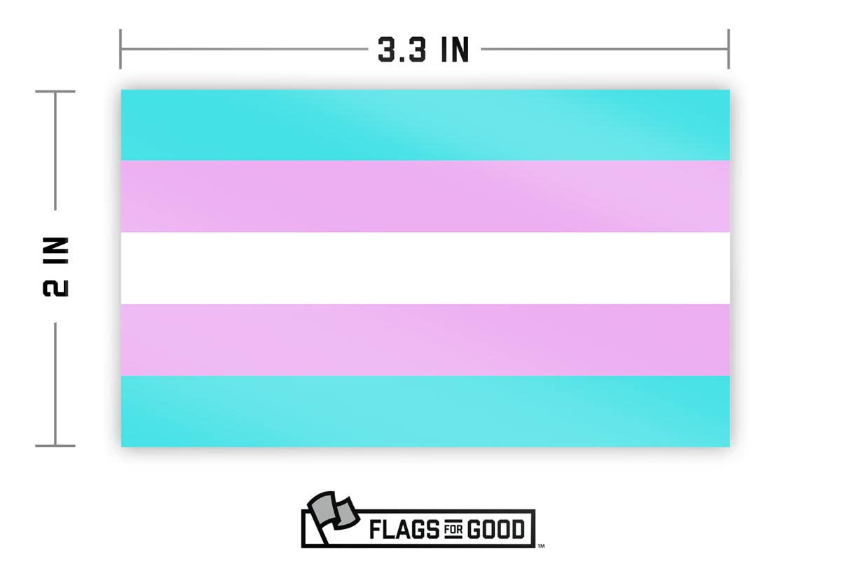 Trans Pride Sticker – The Life of the Party