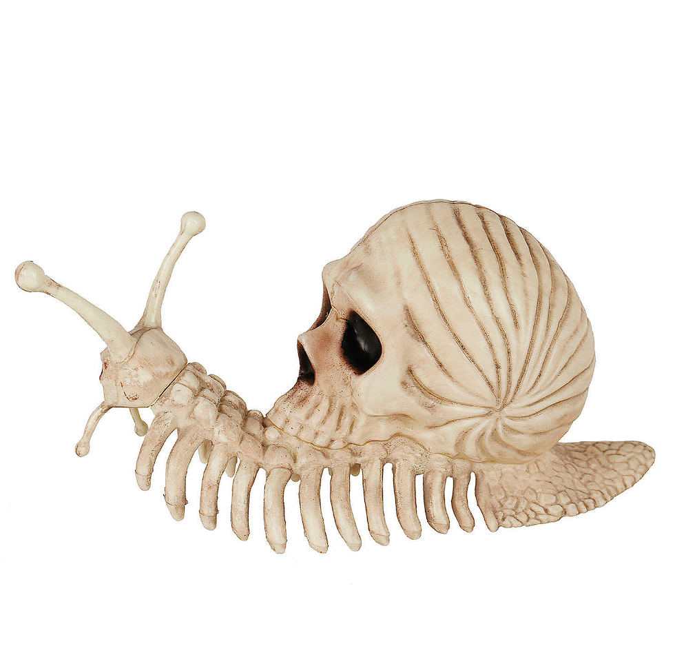 Snail Skeleton Prop