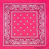 Paisley Cotton Bandana