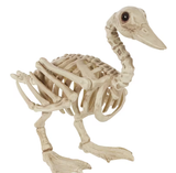 Skeleton Duck Decoration