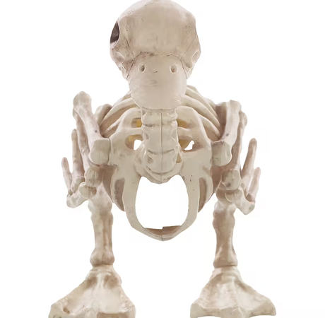 Skeleton Duck Decoration
