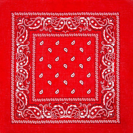 Paisley Cotton Bandana