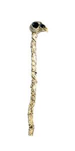 Crow Staff