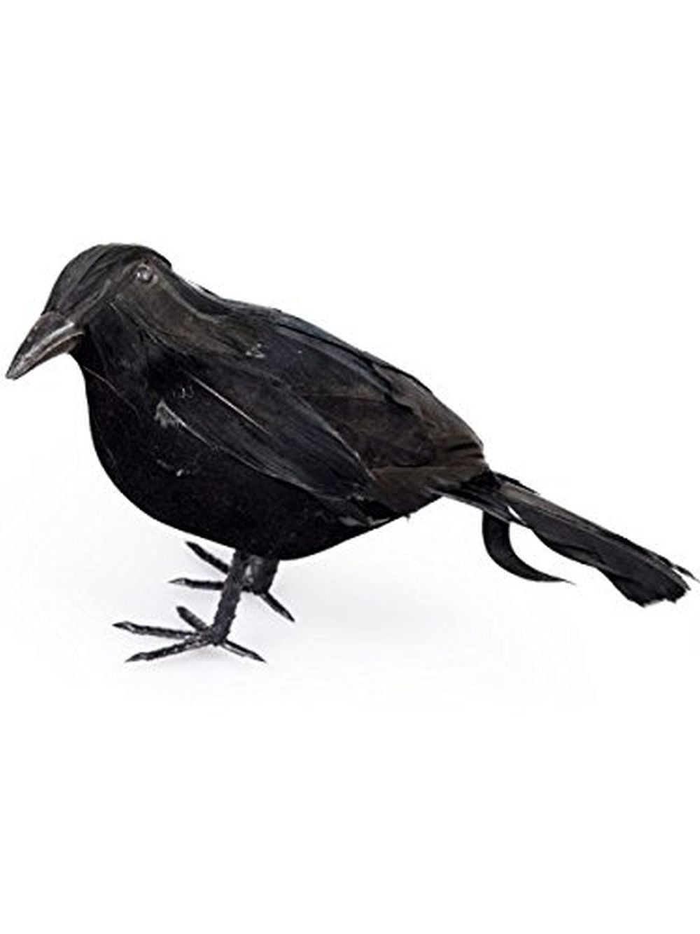 5" Black Crow