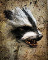Rabies Raccoon Mask