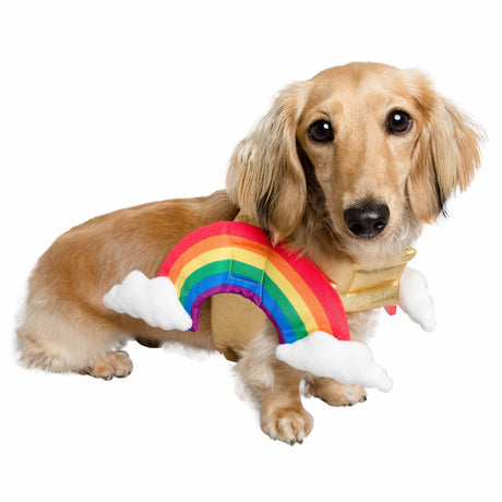 Rainbow Dog Pet Costume