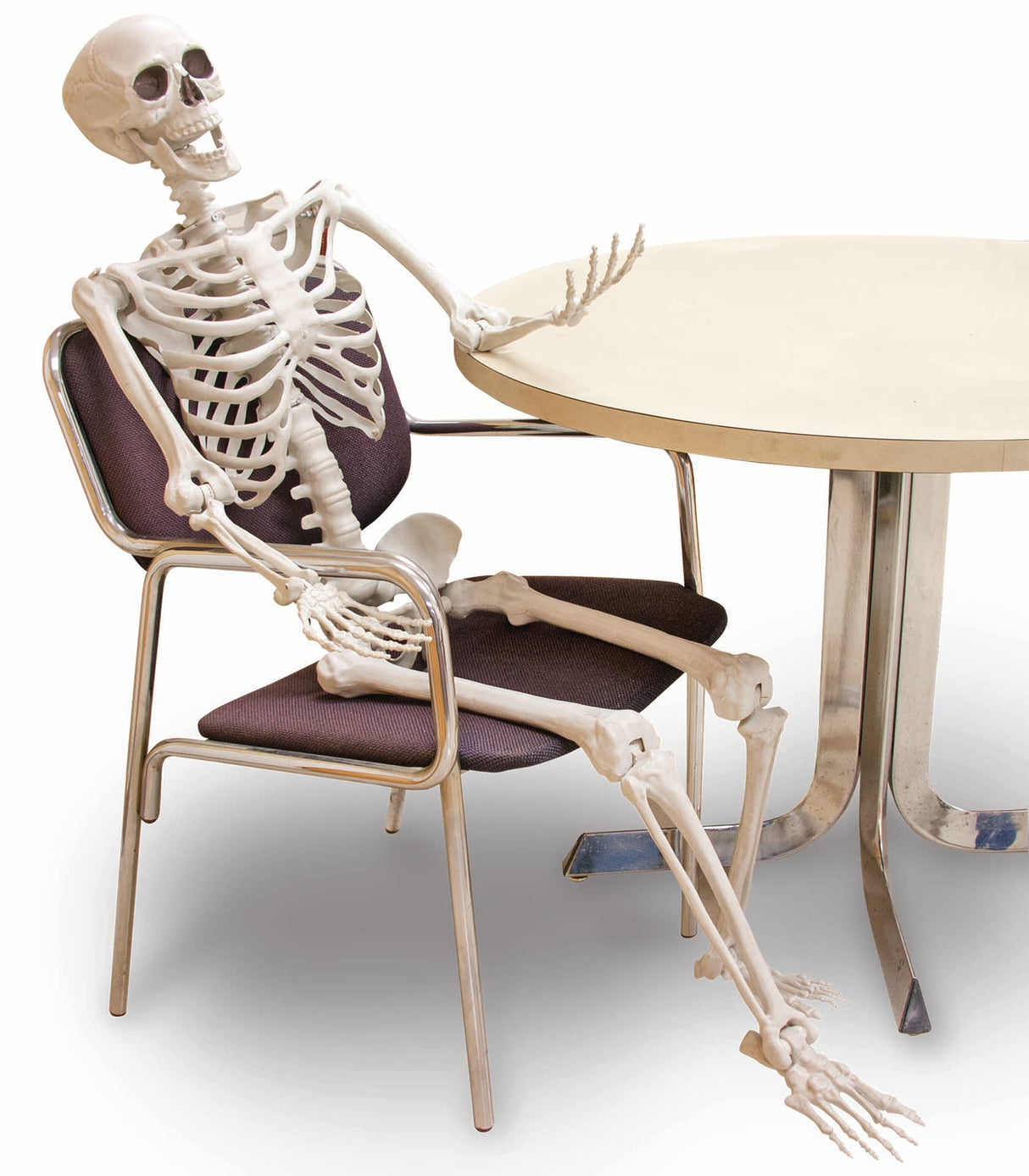 60" Posable Skeleton