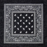 Paisley Print Polyester Bandana
