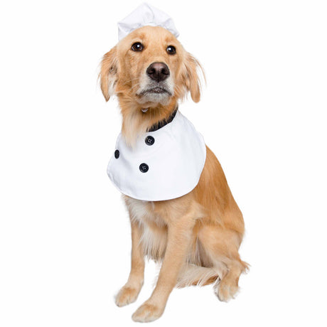 Chef Uniform Dog Costume