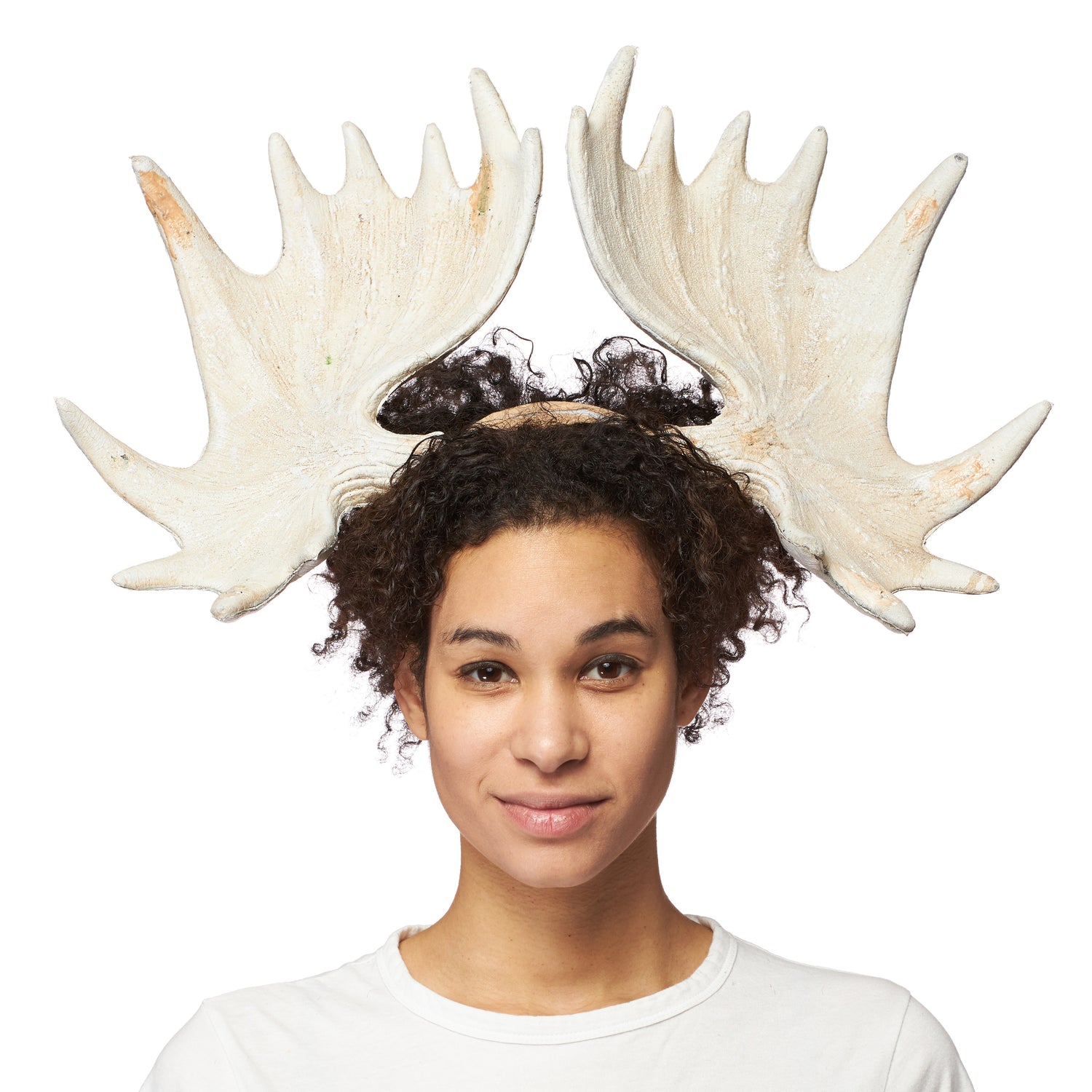 Superlight Moose Horns – The Life of the Party