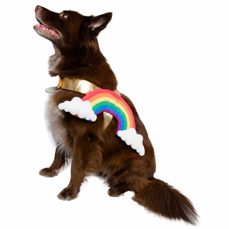 Rainbow Dog Pet Costume