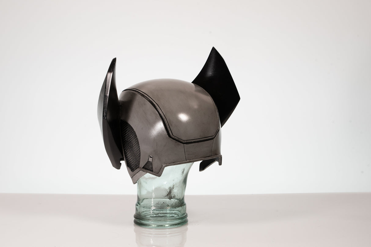 Wolverine Inspired Cosplay or Display Helmet